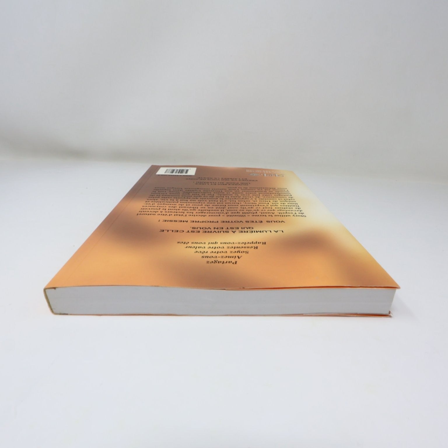 Les Semences du Messie Volume 1 Story Waters Livre 2005 Spiritualité Esprit AdA
