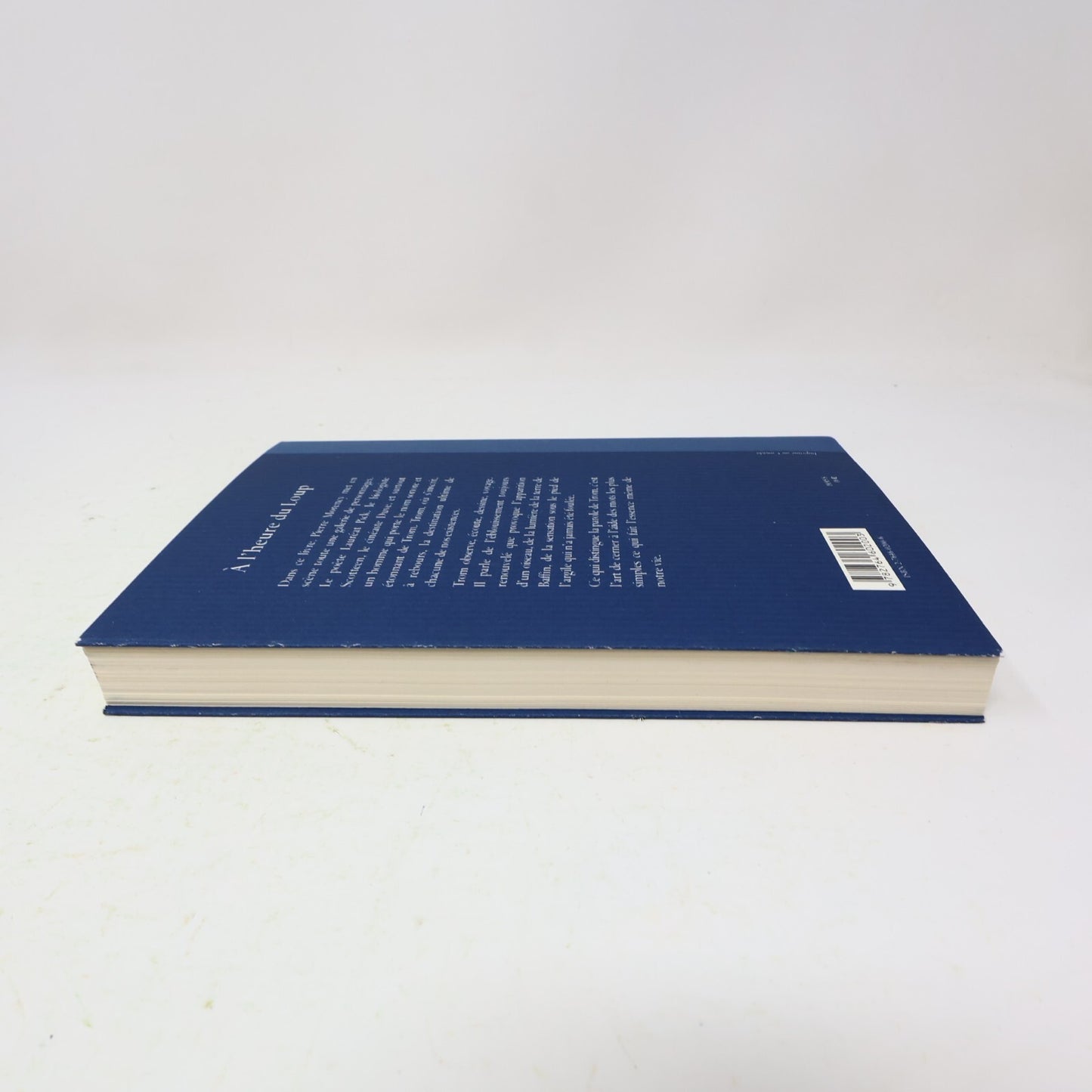 2002 À l'Heure du Loup Pierre Morency Boréal Littérature Québécoise Roman Prose