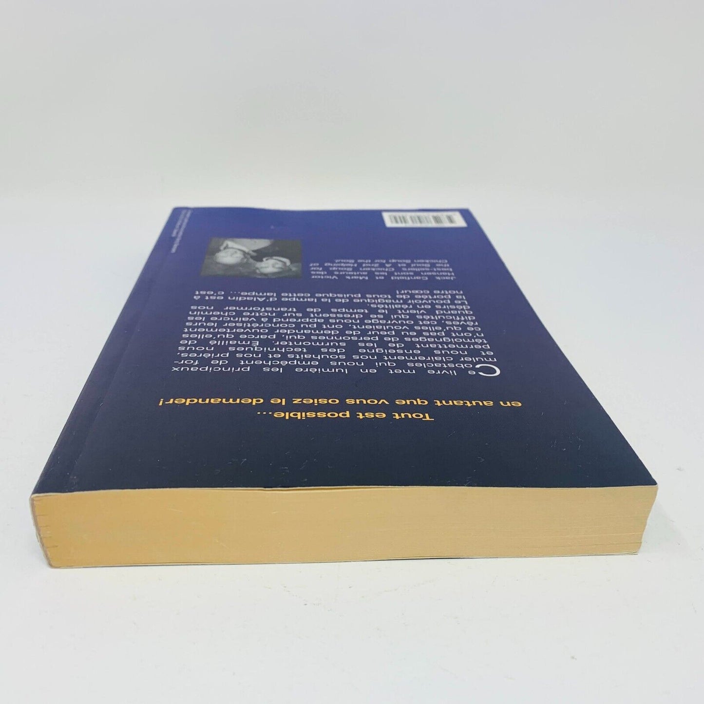 1996 Le Pouvoir d'Aladin Mark Victor Hansen/Jack Canfield Vos Désirs en Réalités
