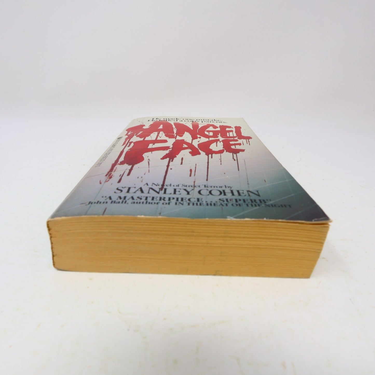 1983 Angel Face Stanley Cohen Charter Mystery Thriller Crime Paperback Book 80s