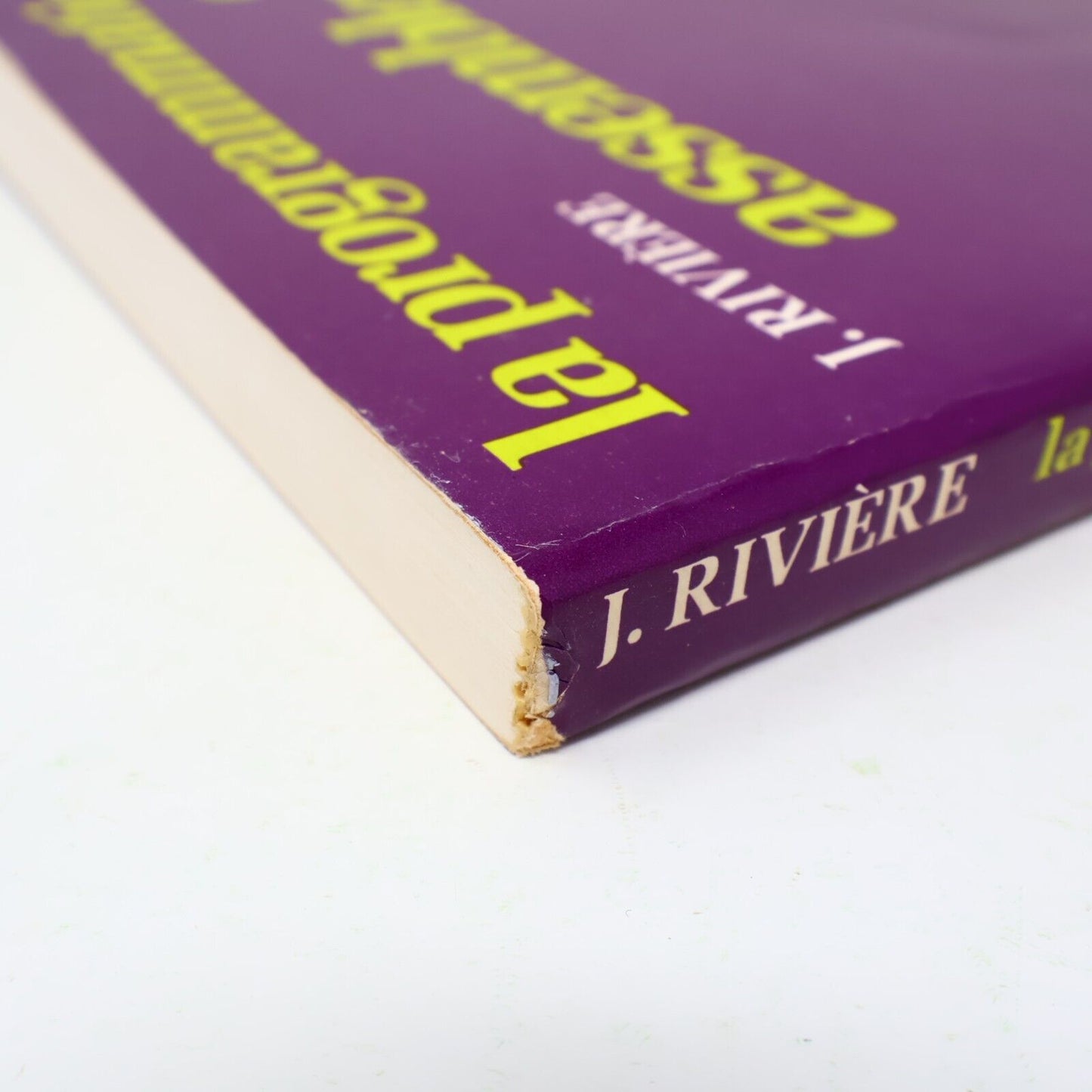 1983 La Programmation en Assembleur J. Rivière Informatique Ordinateur Code 80s