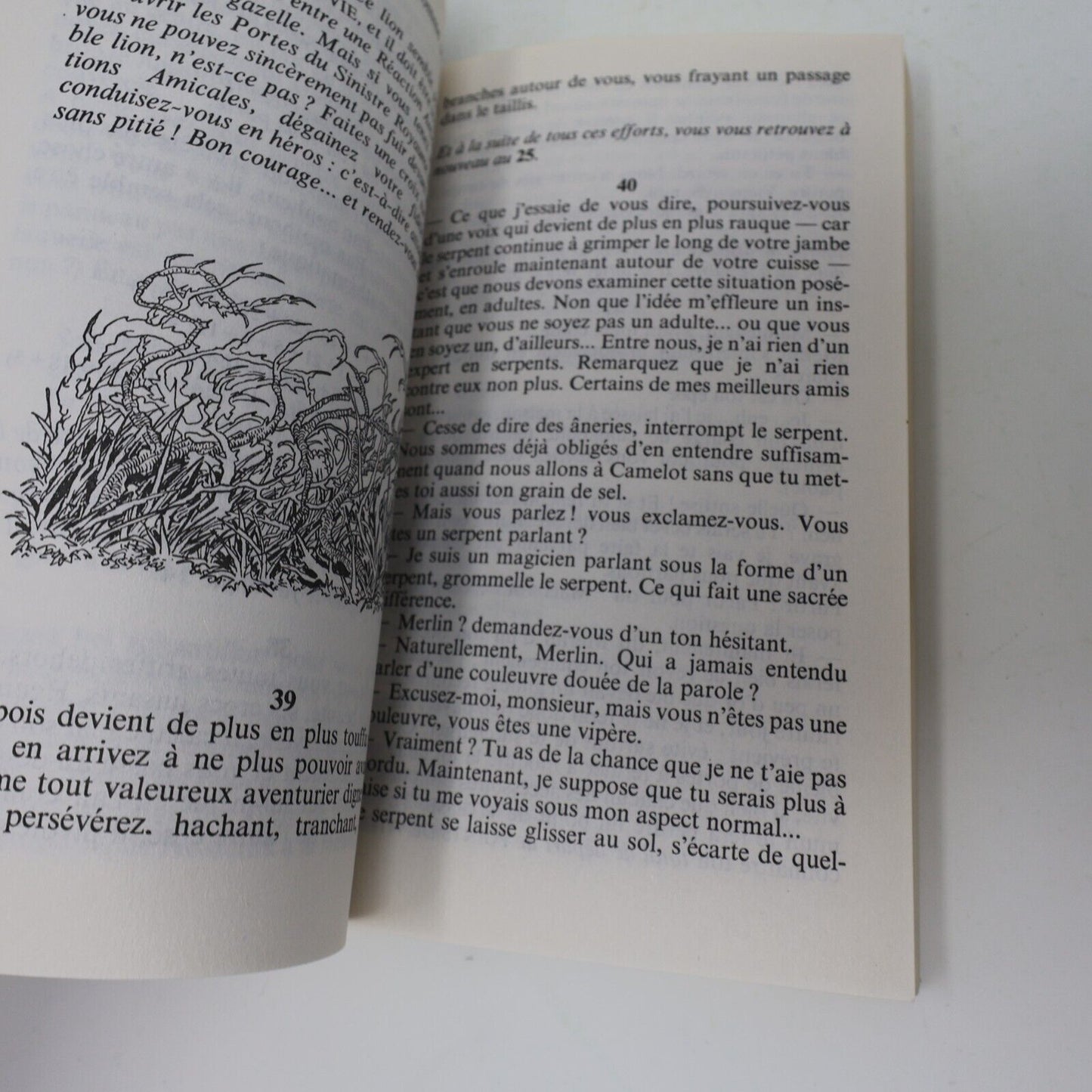 1996 Les Portes de l'Au-Delà La Quête du Graal #3 LDVELH James Herbert Brennan
