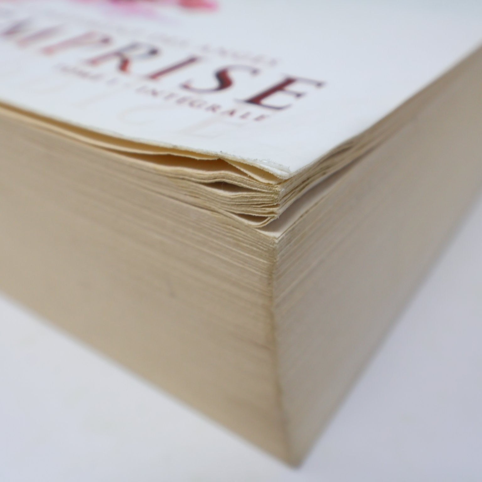 Emprise Le Châtiment des Anges Tome 1 L'Intégrale Annie Larochelle 2018 Français