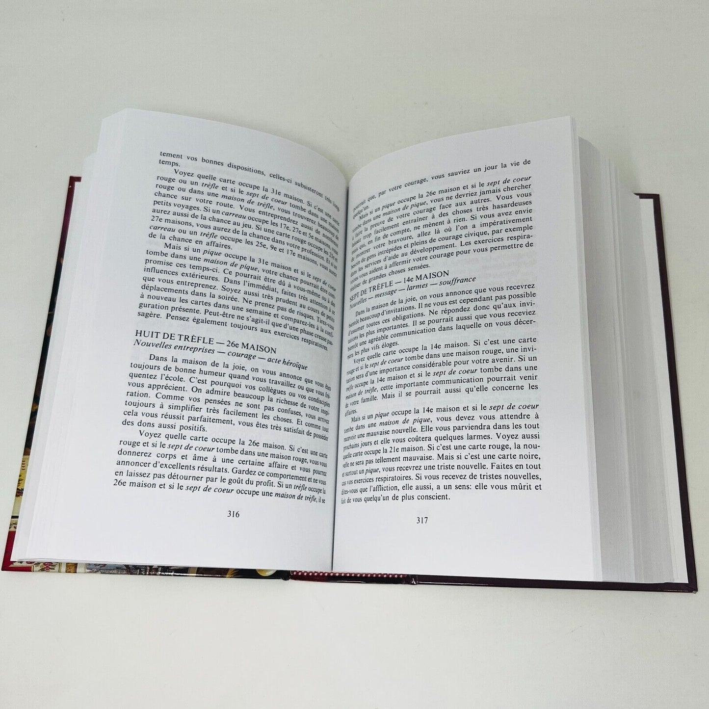 1999 Le Grand Livre de la Cartomancie de Gerhard von Lentner en Français Avenir