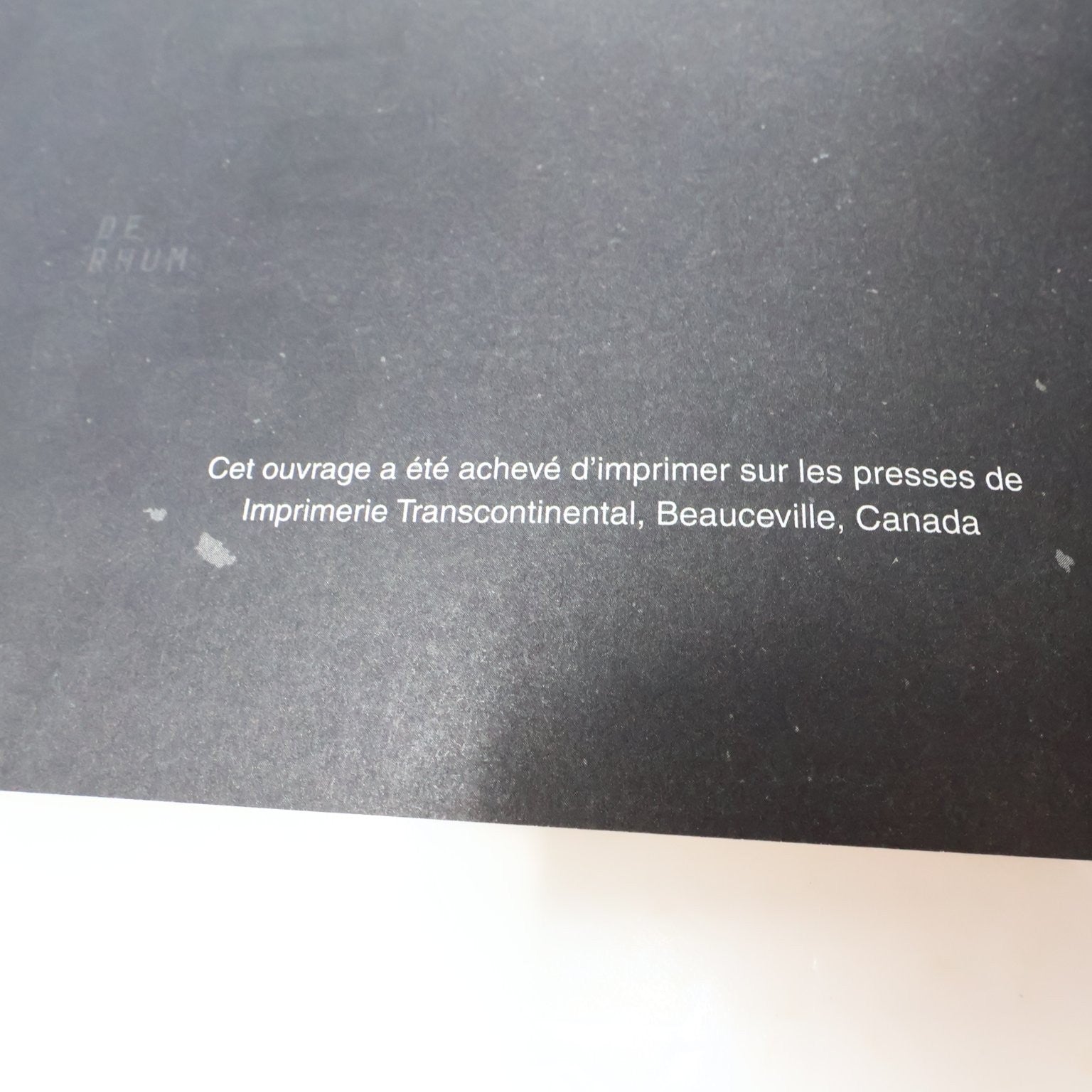 Le Bon Mix Patrice Plante Pierre-Yves Lord 2015 Recettes Cocktail Livre Québec