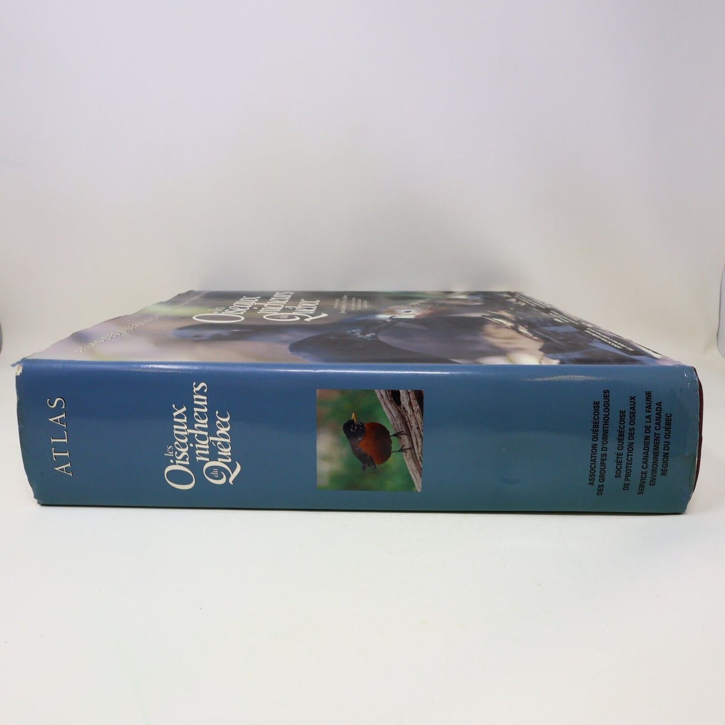1996 Les Oiseaux Nicheurs du Québec Jean Gauthier Yves Aubry Atlas Nature Livre