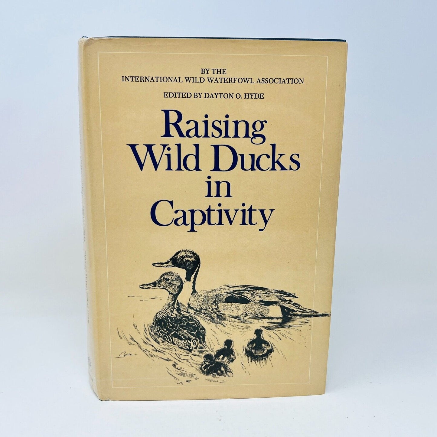1974 Raising Wild Ducks in Captivity by Dayton O. Hyde Hardcover DJ Dutton IWWA