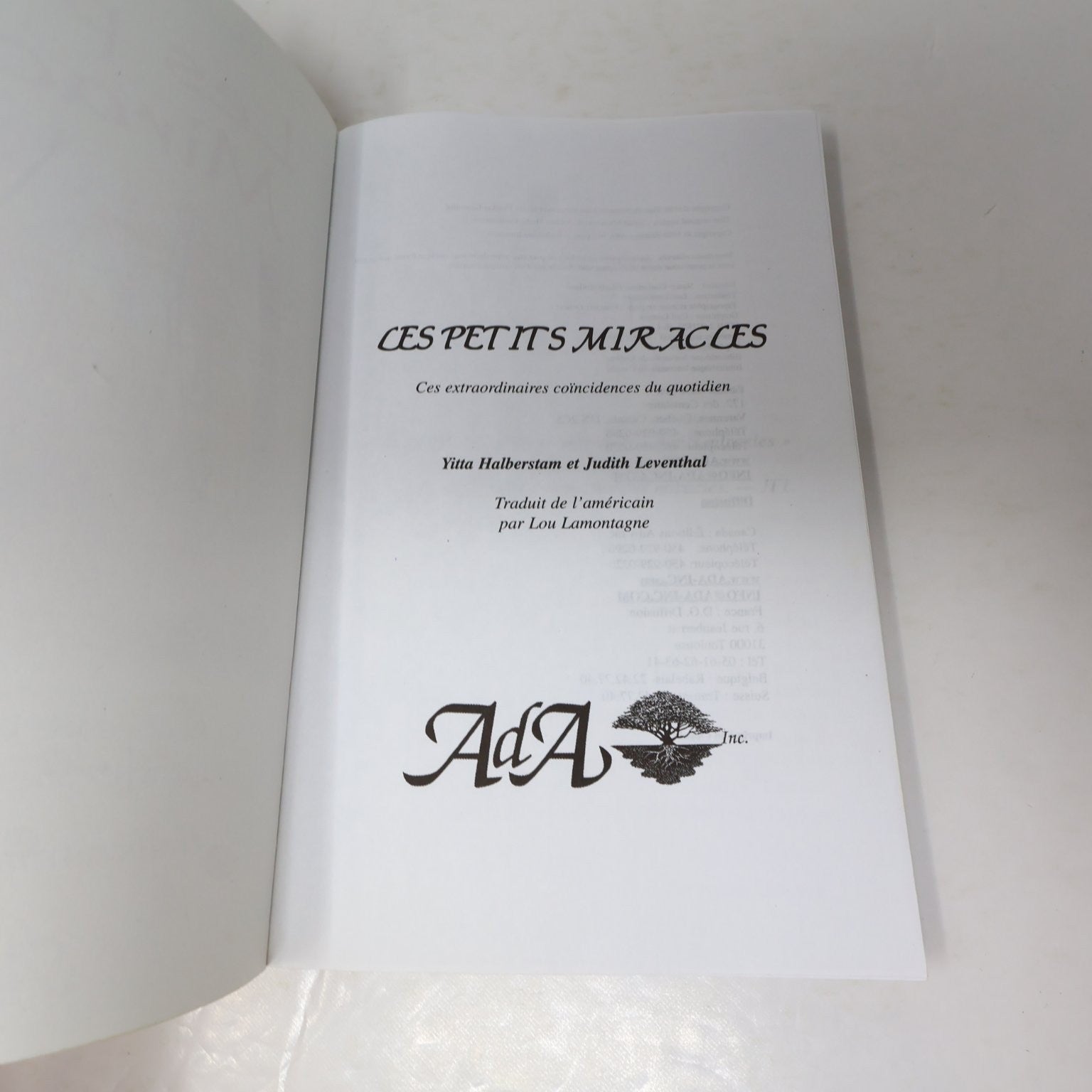 Les petits Miracles Halberstam Leventhal 1999 ADA Coincidences du Quotidien