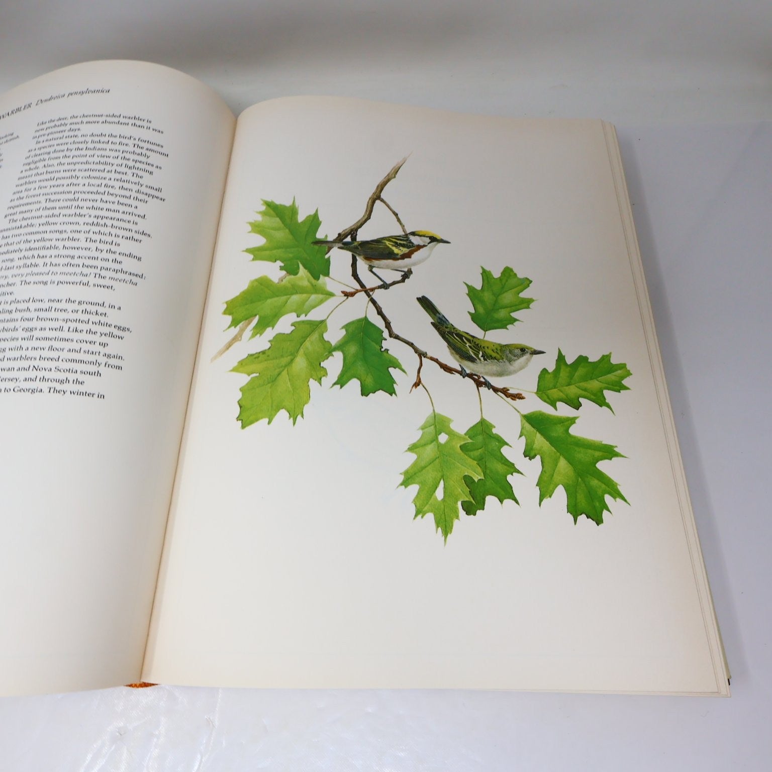 Lansdowne's Birds of the Forest John A. Livingston 1989 Illustrated Arrowood HC