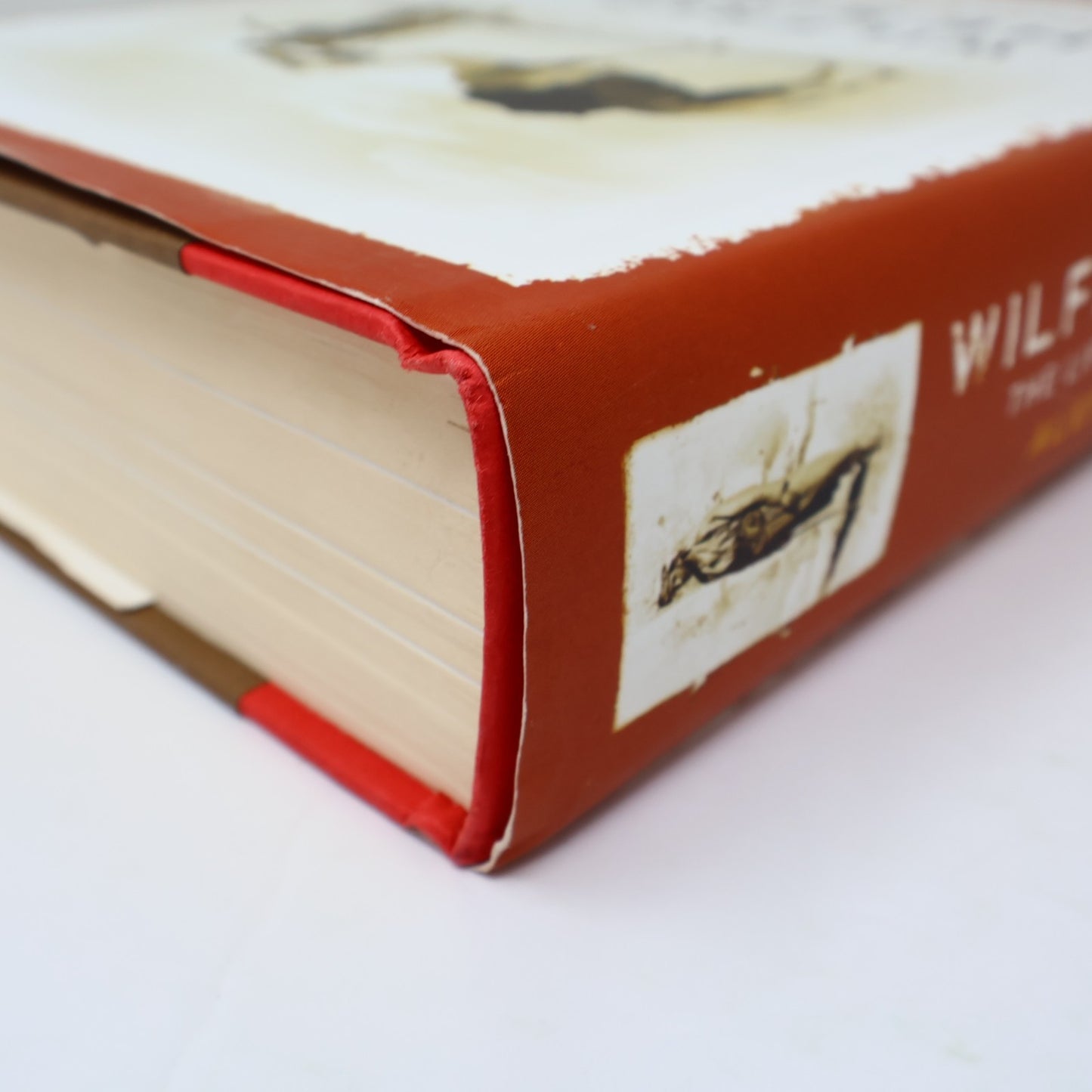Wilfred Thesiger the Life of the Great Explorer Alexander Maitland 2011 HC DJ