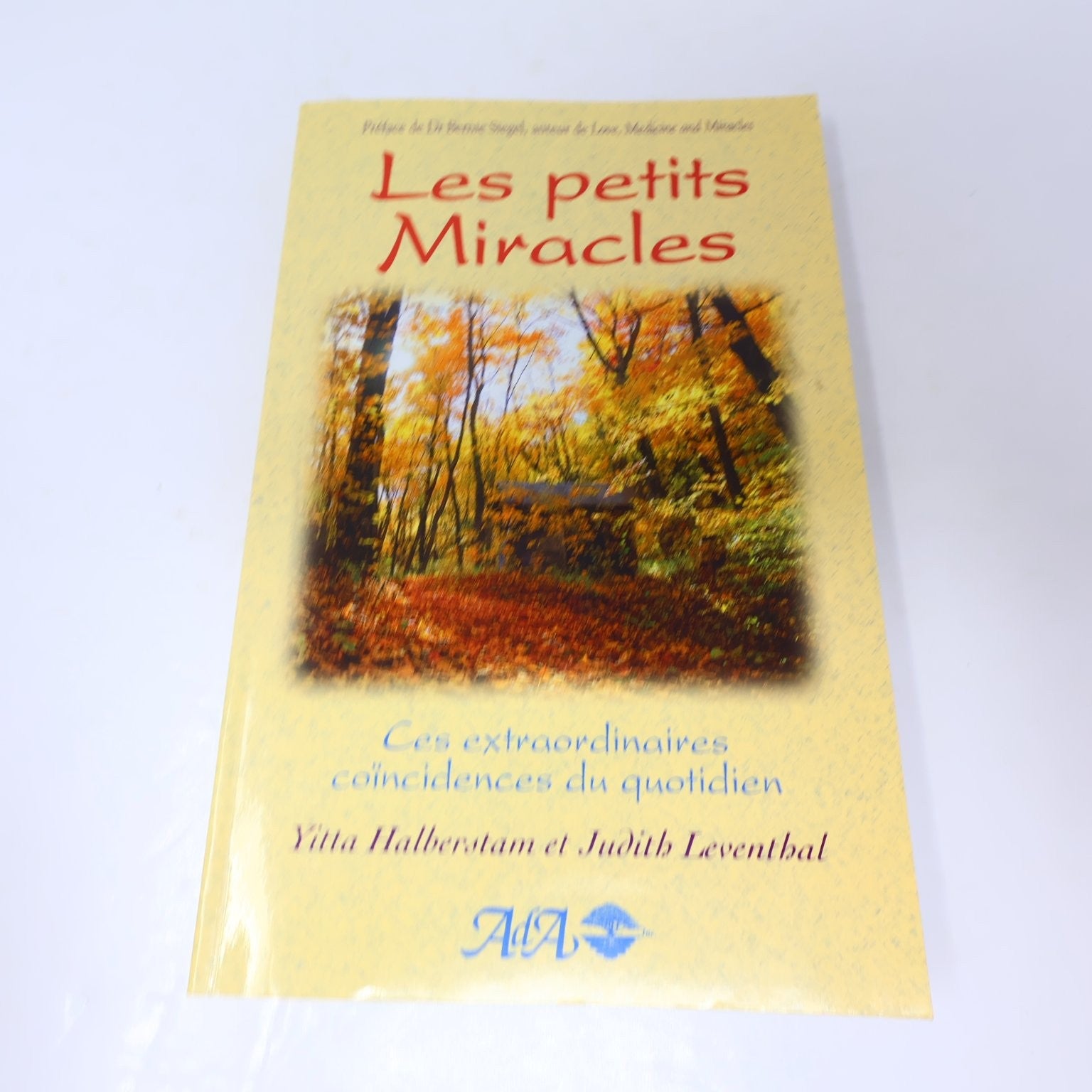 Les petits Miracles Halberstam Leventhal 1999 ADA Coincidences du Quotidien