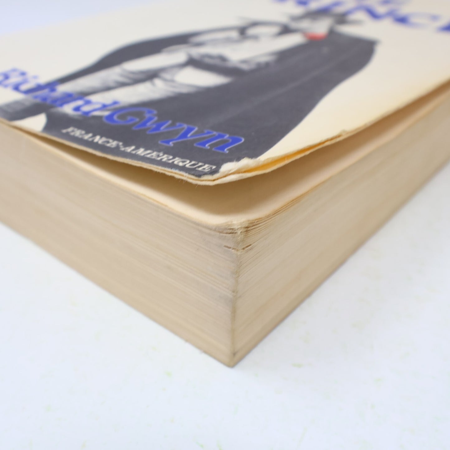 1981 Le Prince Richard Gwyn France-Amérique Pierre Elliott Trudeau Biographie PB