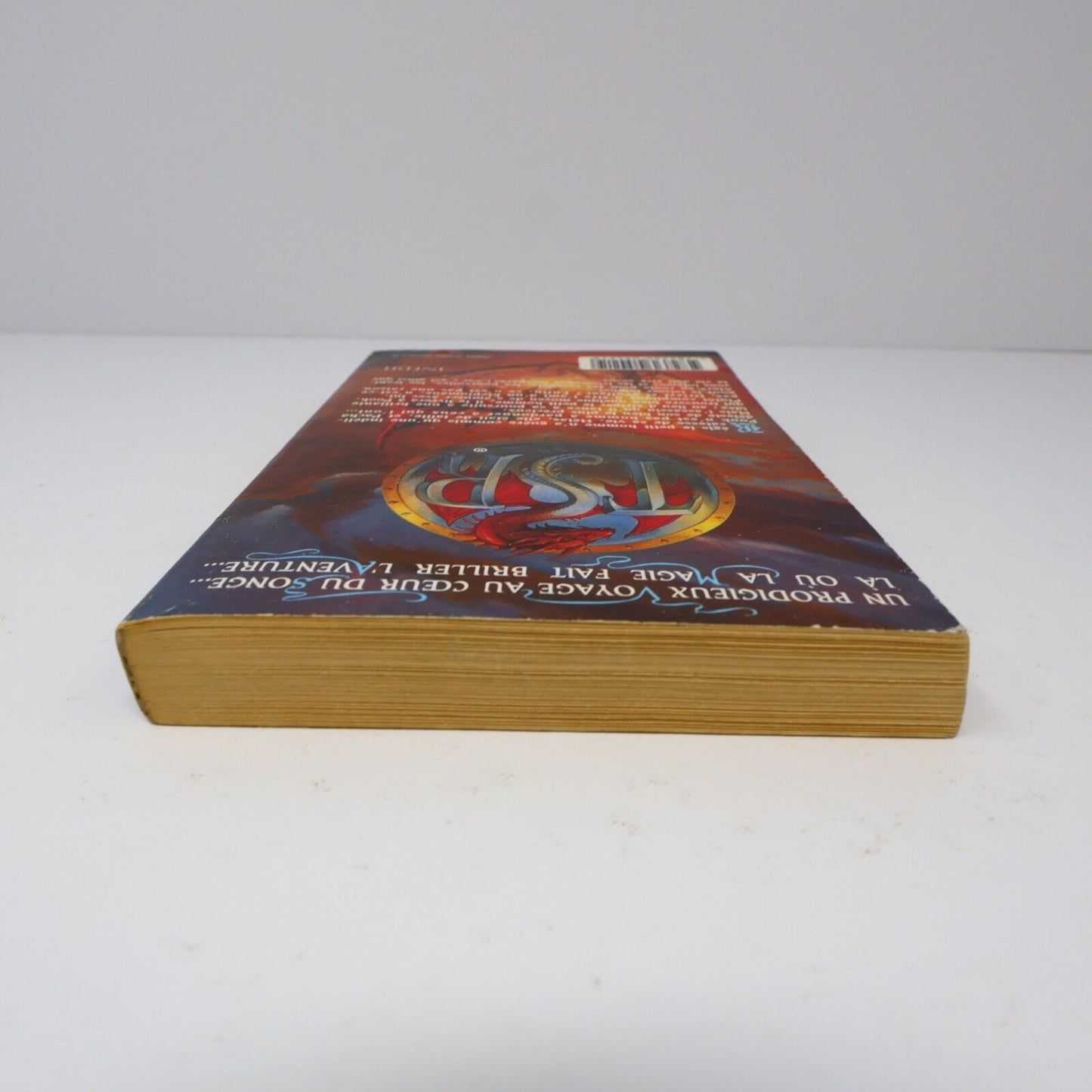 1996 Royaumes Oubliés #17 Le Joyau du Petit Homme La Trilogie du Val Bise Livre
