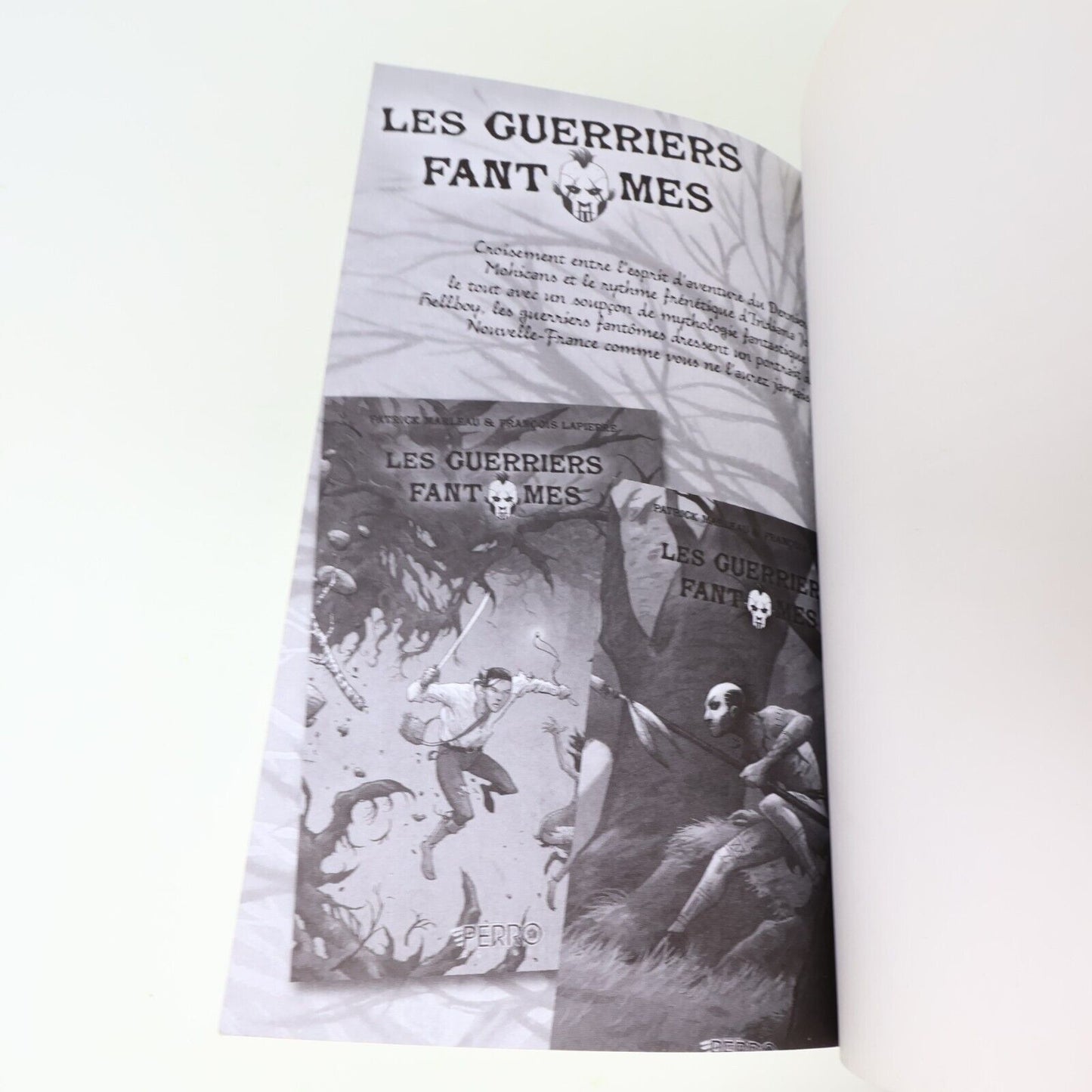 Lot 2 Livres Amos Daragon #1, 3 Bryan Perro Perro Éditeur Fantastique Français