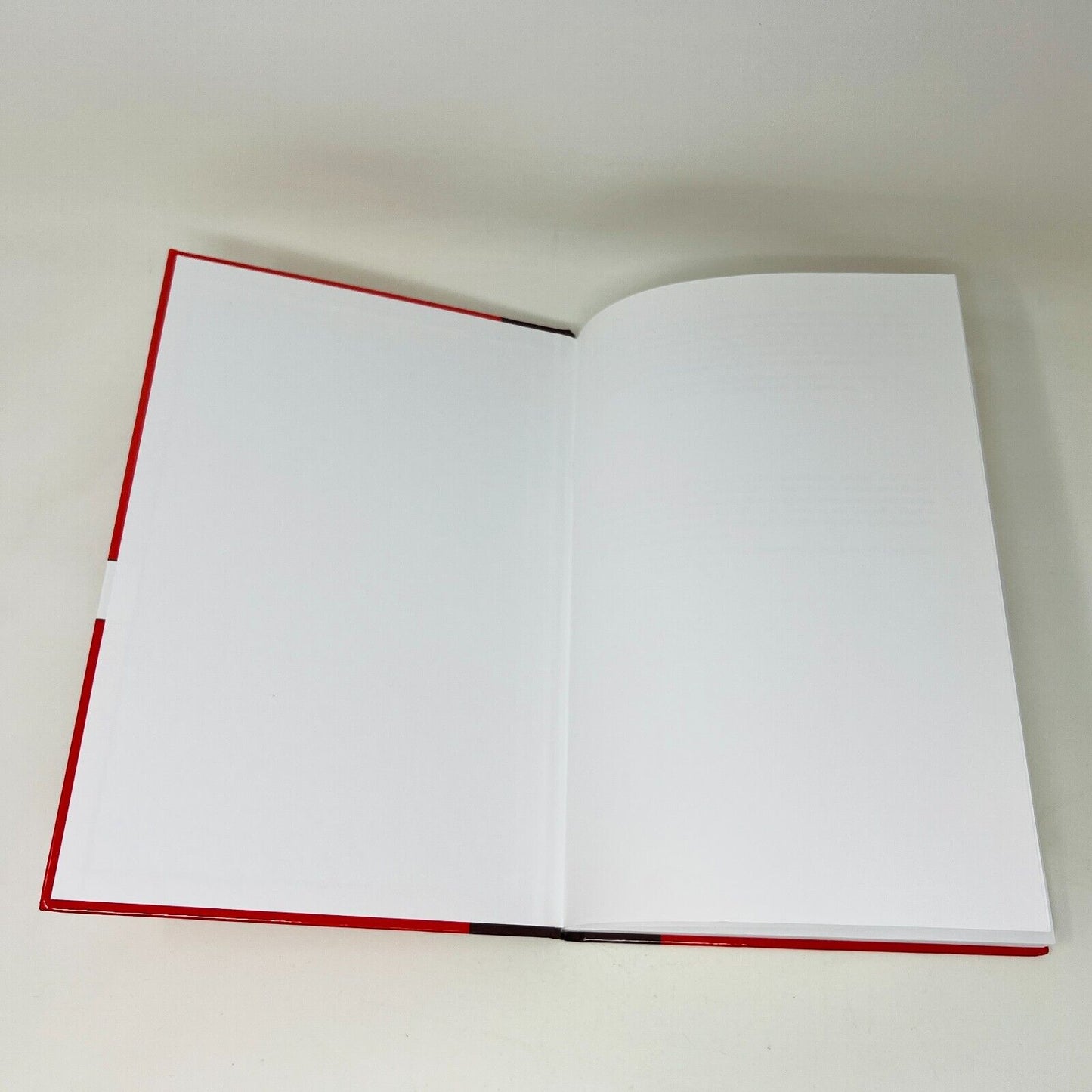 2010 Acceptance and Commitment Therapy for Body Image Dissatisfaction Hardcover