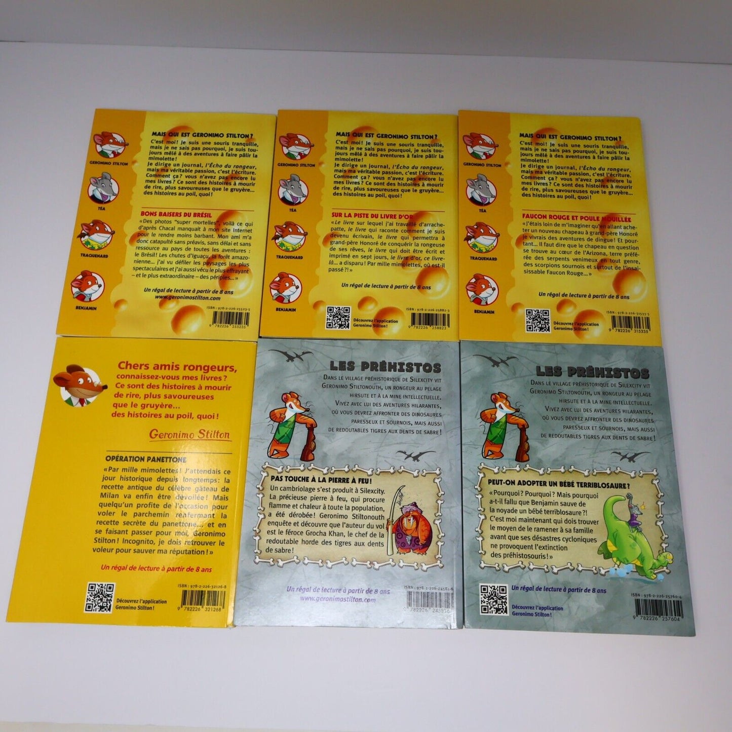 Lot 12 Livres Geronimo Stilton Albin Michel Français French Enfants Paperback PB