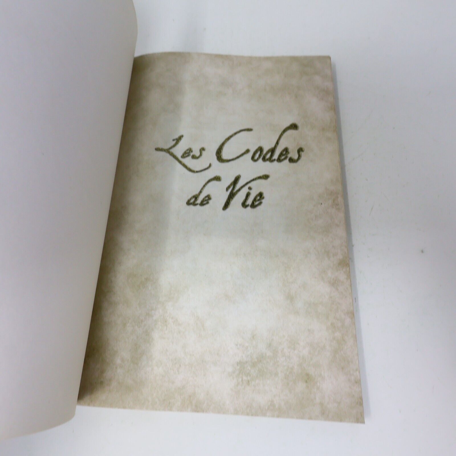 2011 Les Codes de Vie 7 Secrets de Vie Révélés Patty Harpeneau Dauphin Blanc PB