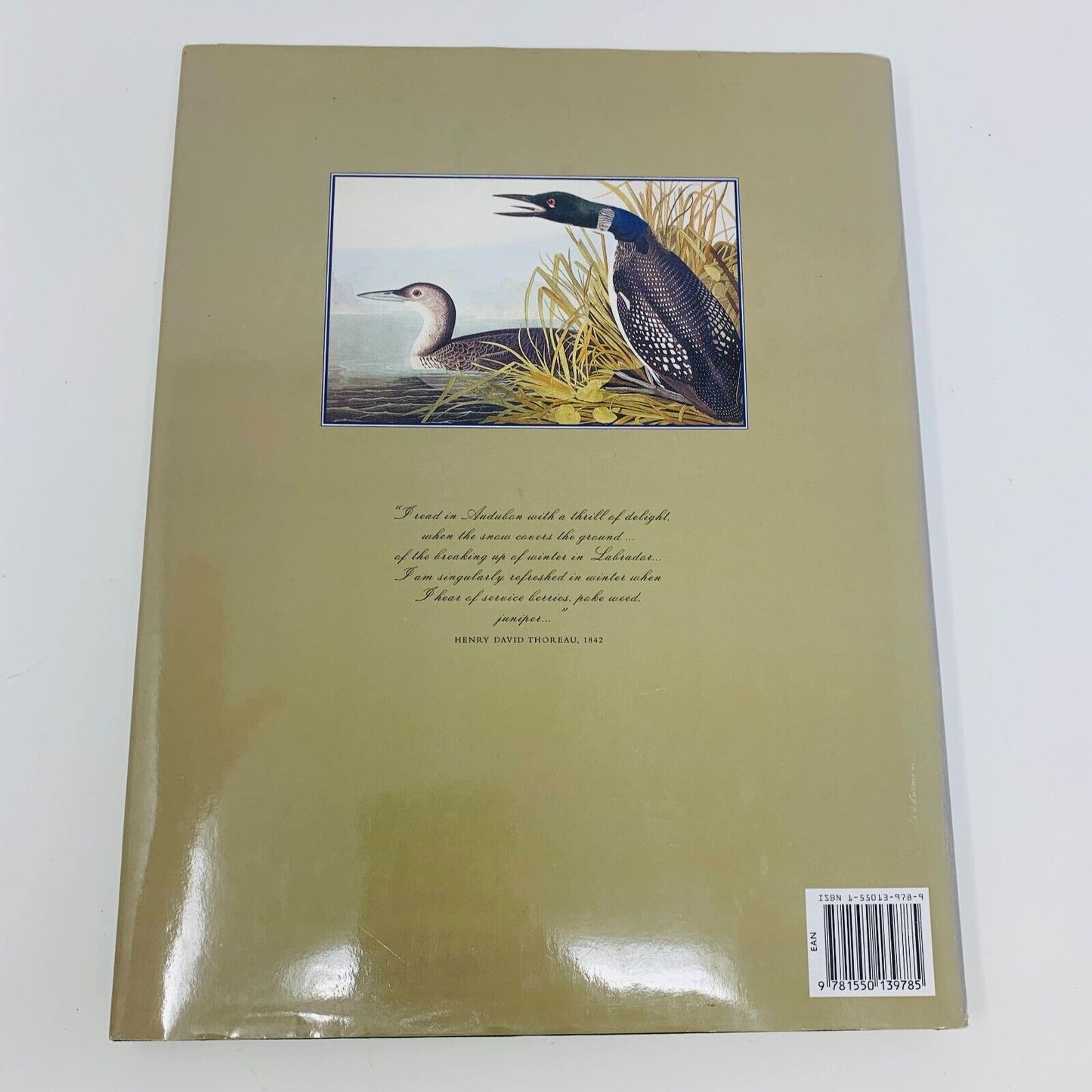 1999 Signed Audubon's Wilderness Palette The Birds of Canada by David Lank Book