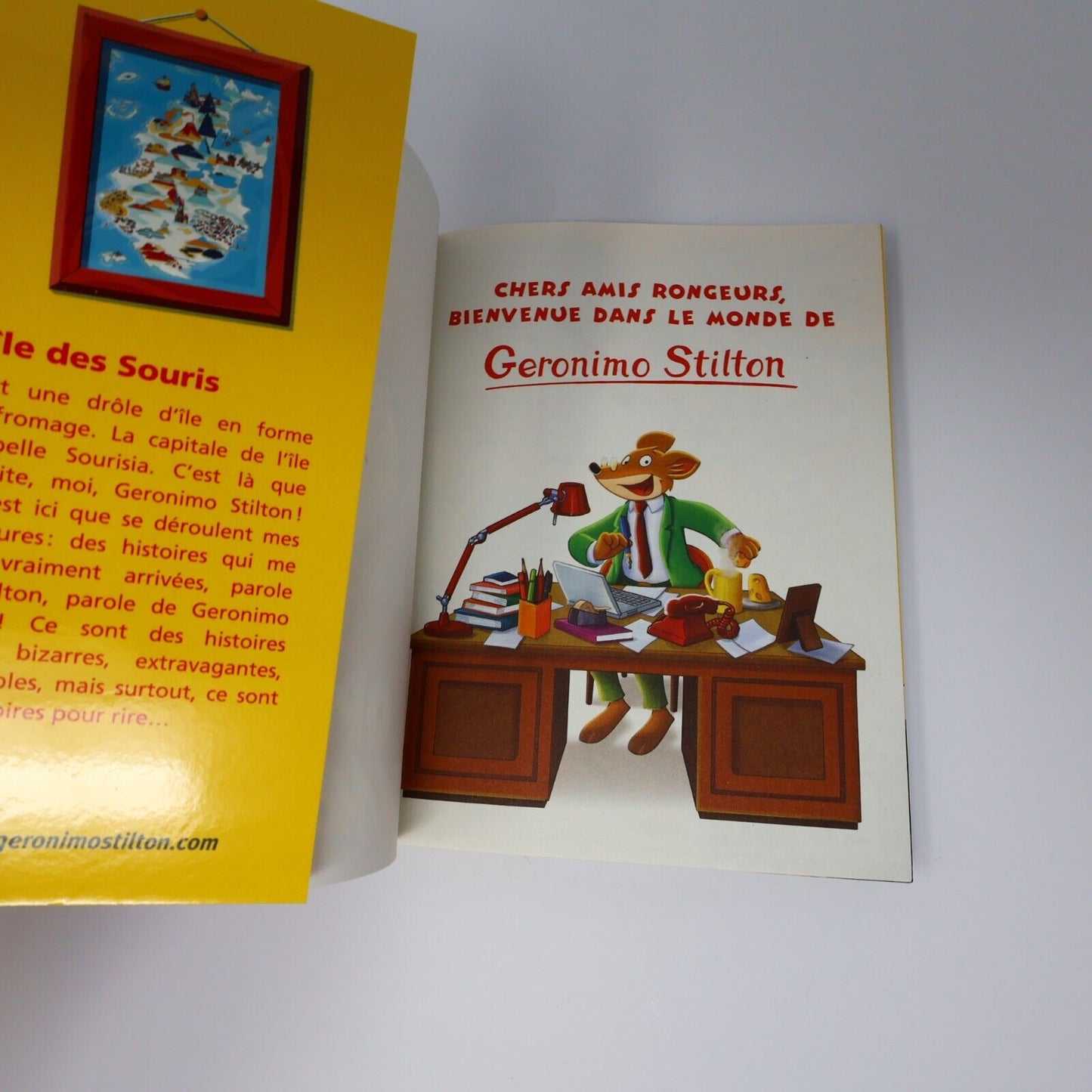 Lot 12 Livres Geronimo Stilton Albin Michel Français French Enfants Paperback PB
