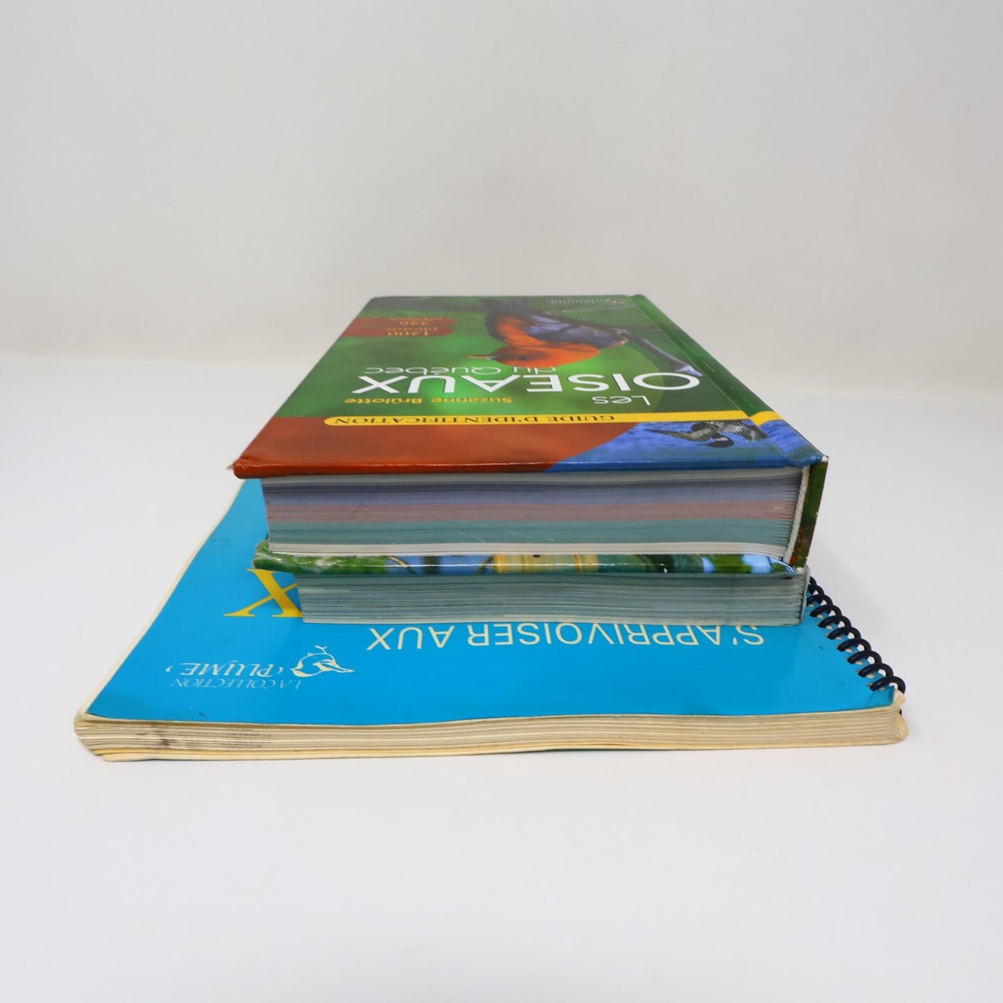Suzanne Brûlotte Lot 3 Livres Les Oiseaux du Québec Guide d'Identification Books