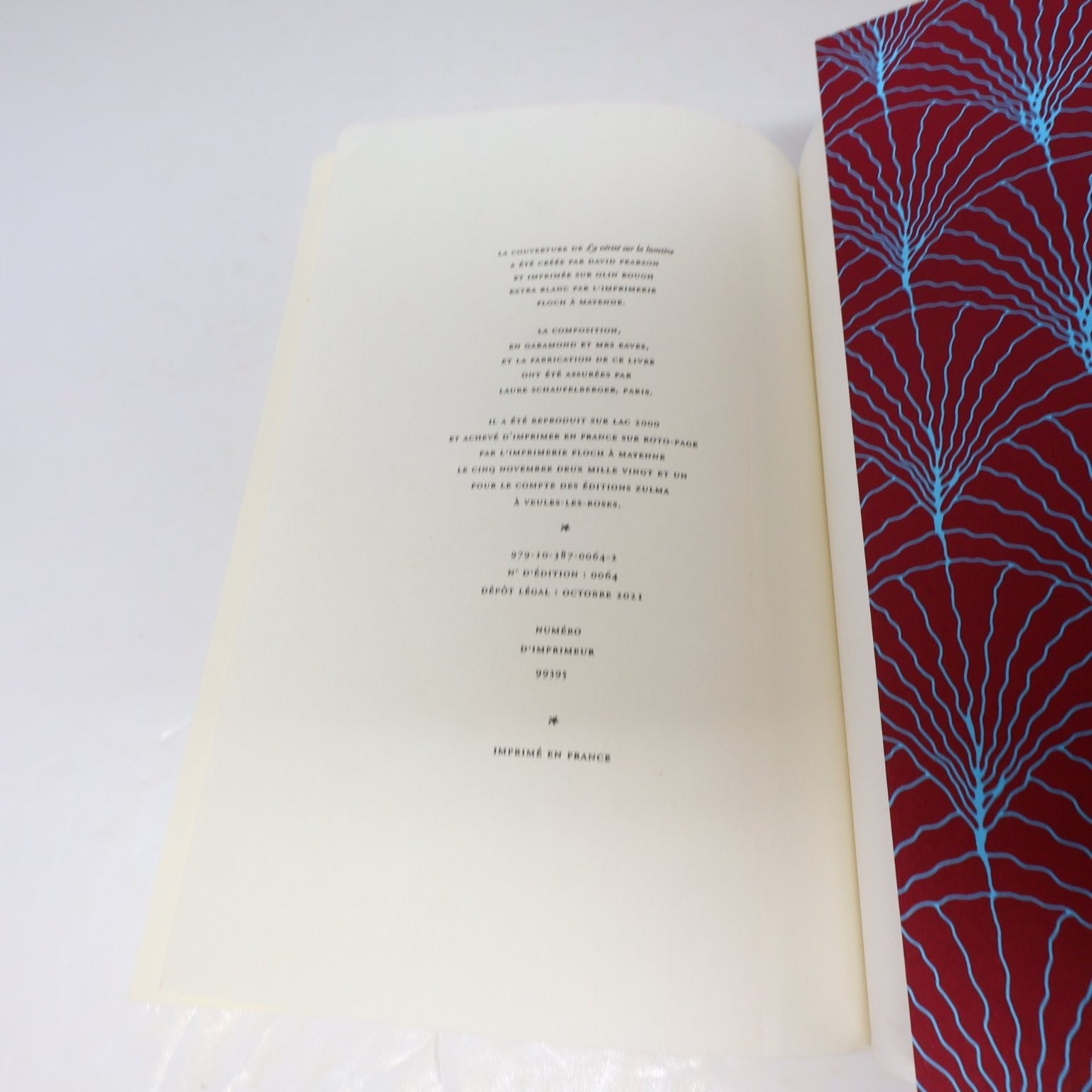 La vérité sur la lumière Audur Ava Ólafsdóttir 2021 Français/French Edition