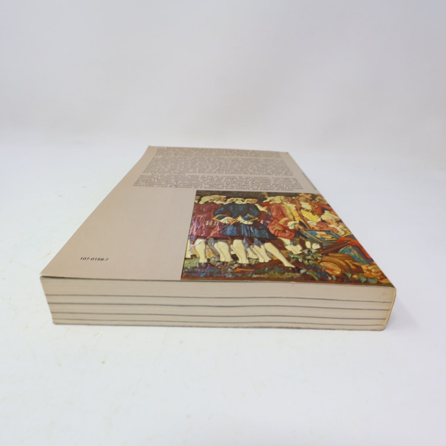 1979 Madame Montour et son Temps Simone Vincens Québec Amérique Biographie Livre