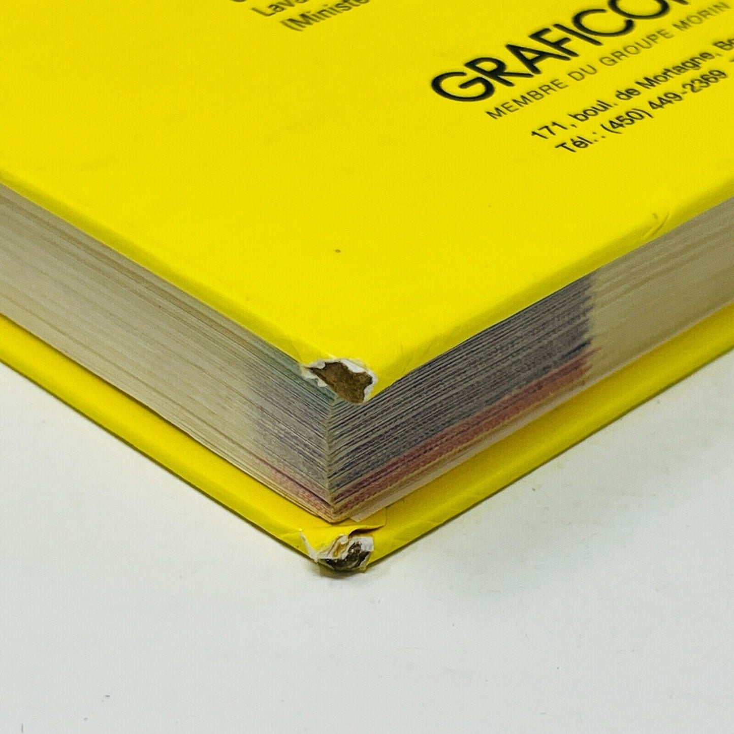 1999 Grammaire Pédagogique du Français d'Aujourd'hui Graficor Langue Référence