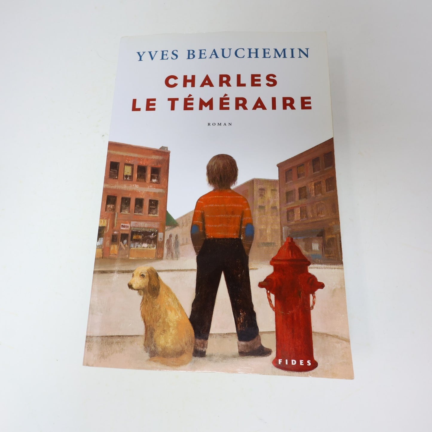 Charles le Téméraire #1-3 Série Complète Lot 3 Livres Yves Beauchemin Français