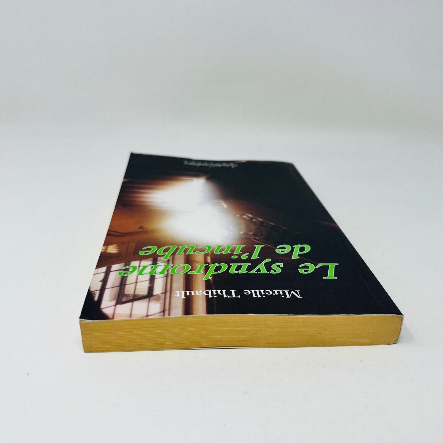 2004 Le Syndrome de l'Incube de Mireille Thibault Français Livre Louise Courteau