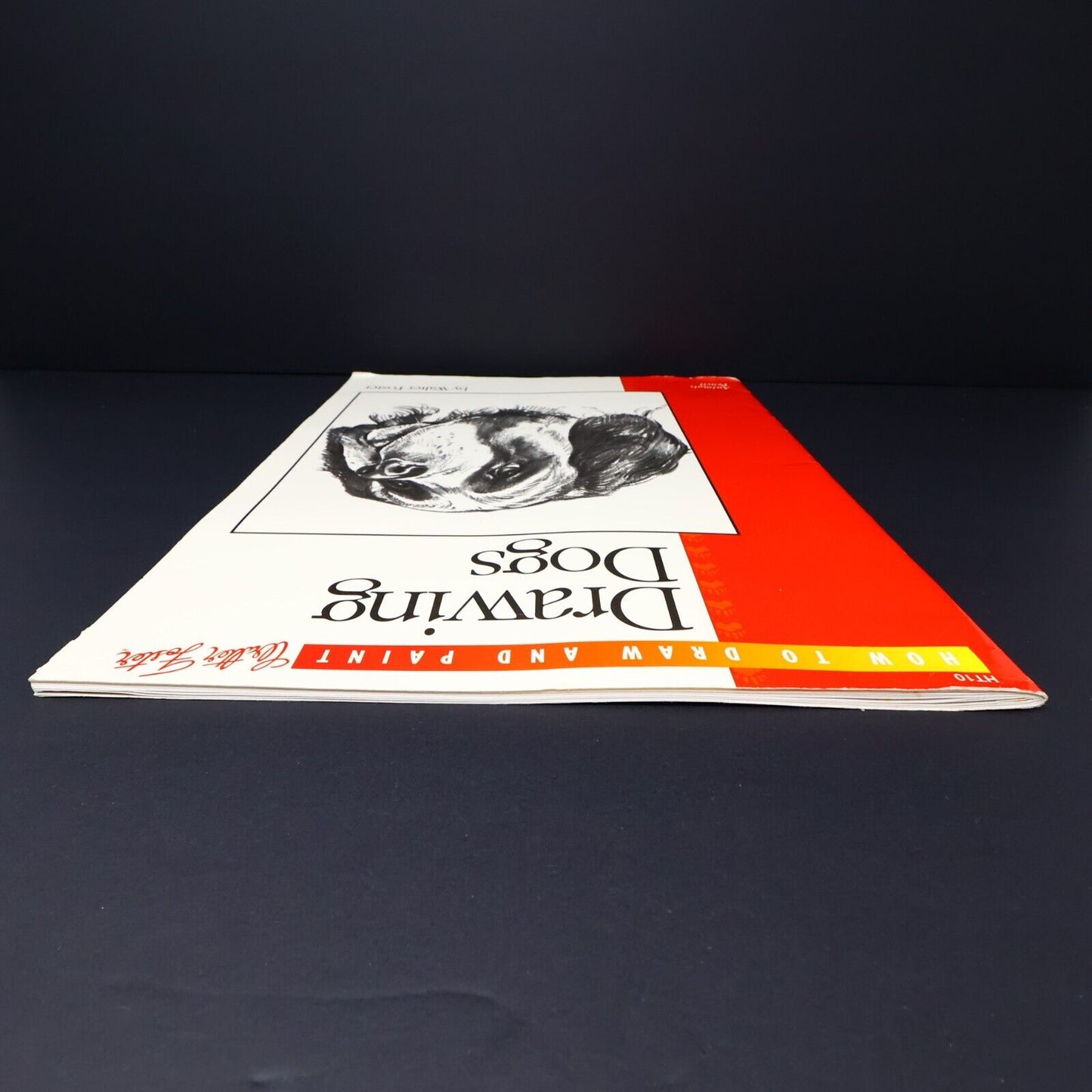 1997 How to Draw and Paint Drawing Dogs Animals Pencil by Walter T. Foster Art