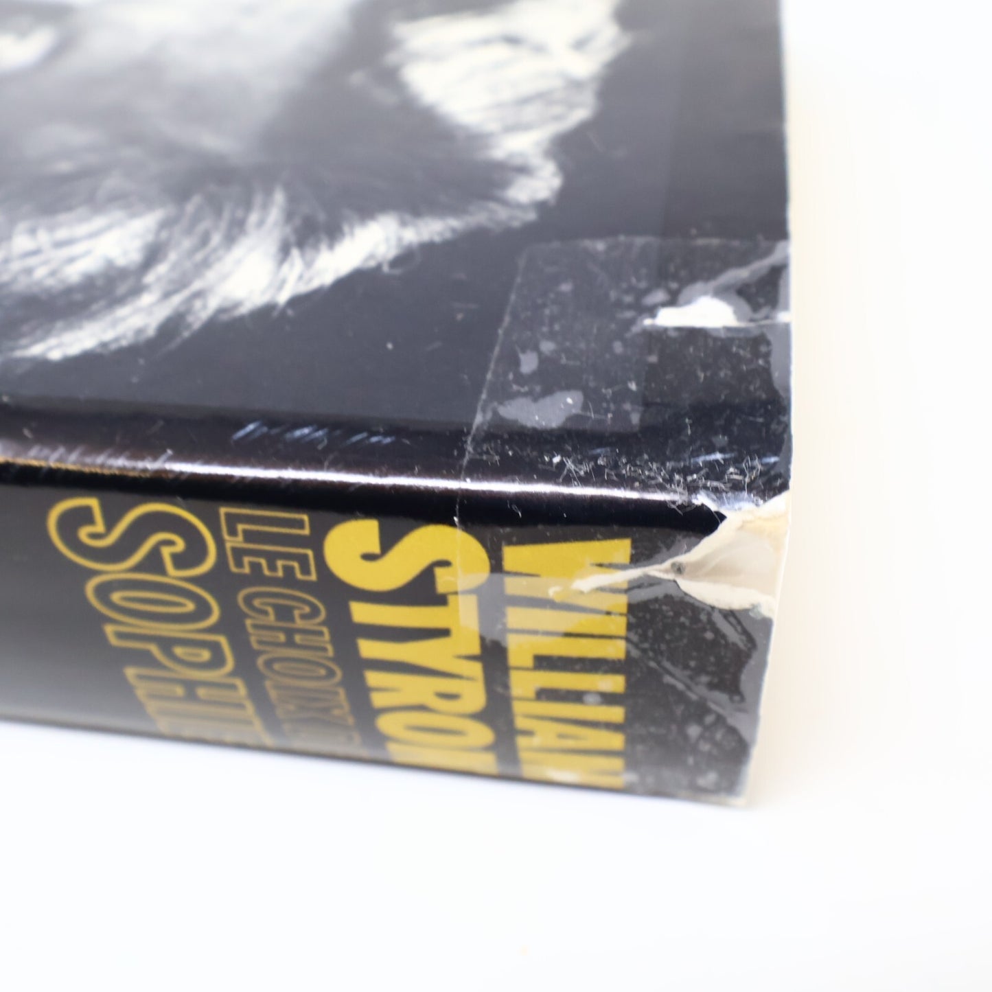 William Styron Lot 3 Livres Le Choix de Sophie/La Proie des Flammes 1-2 Français