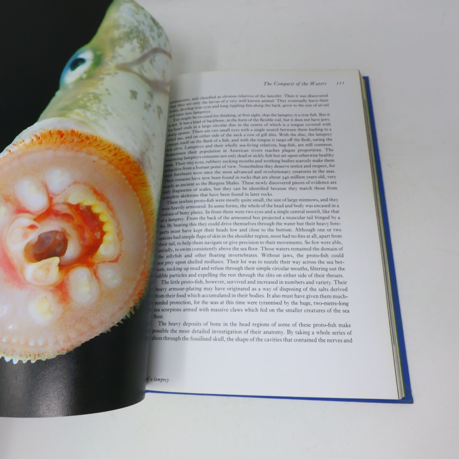 1979 Life on Earth a Natural History David Attenborough Little Brown Nature Book