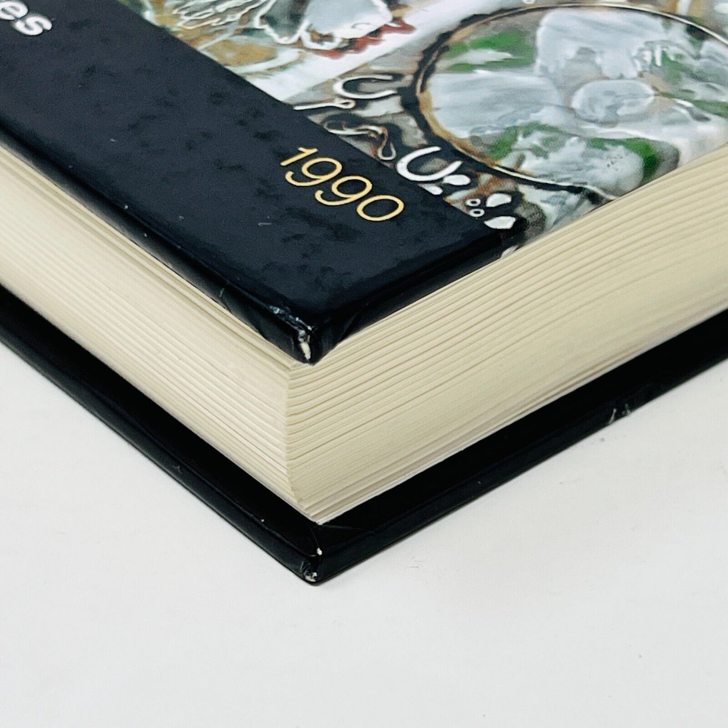 1999 Un Siècle de Peinture Au Québec Nature et Paysage Livre Robert Bernier HC