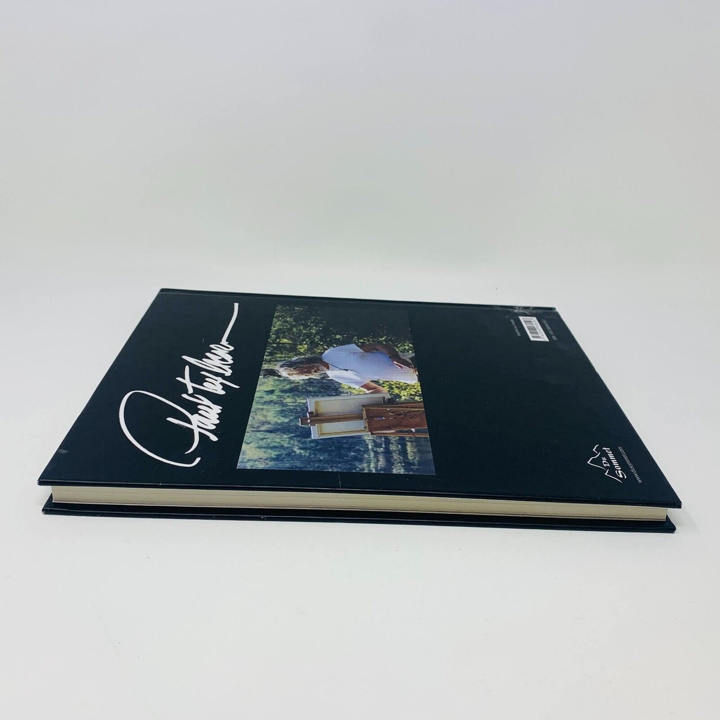 2013 Paul Tex Lecor Mon Monde Pour Vous Français/Anglais Livre sur Peintures Art