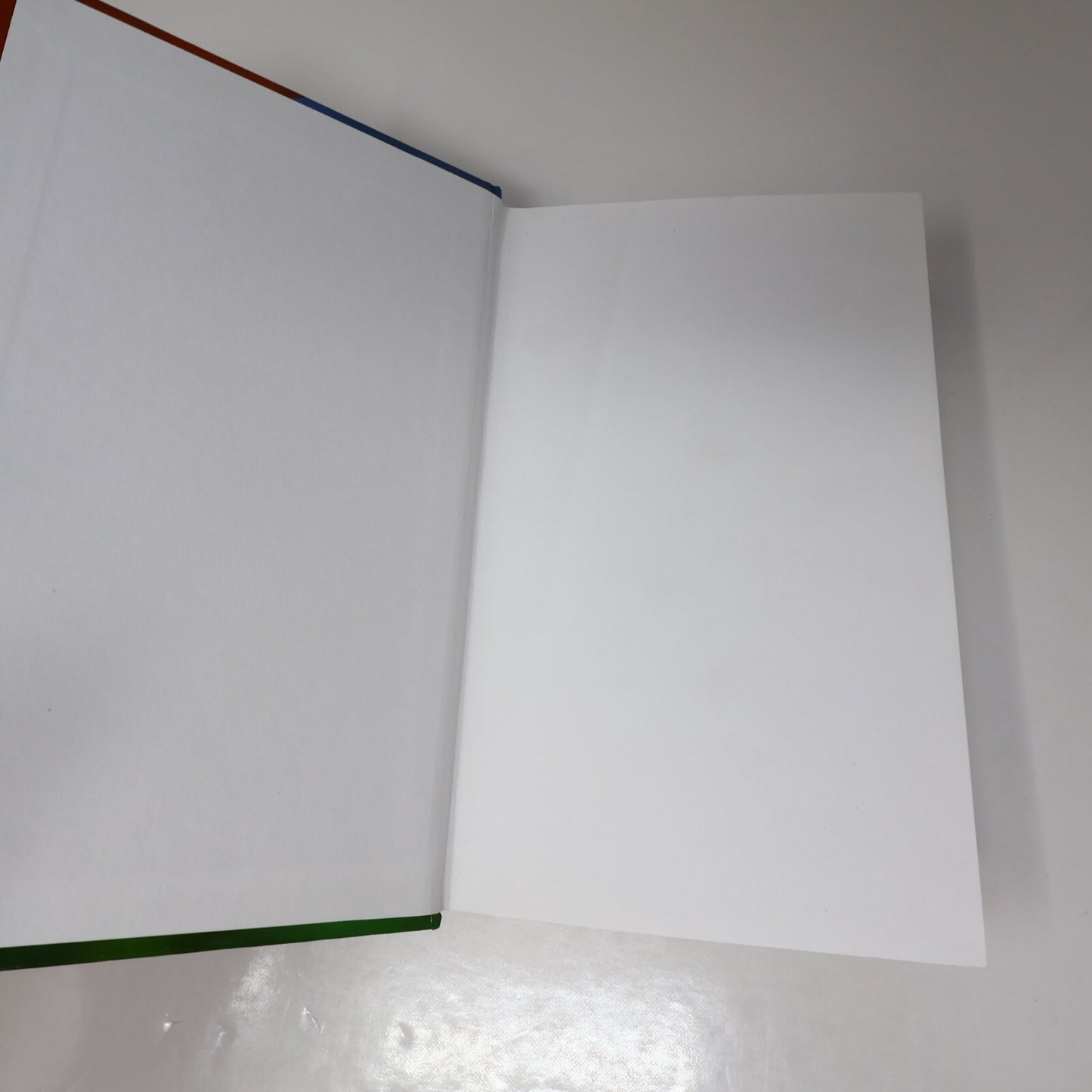 Suzanne Brûlotte Lot 3 Livres Les Oiseaux du Québec Guide d'Identification Books