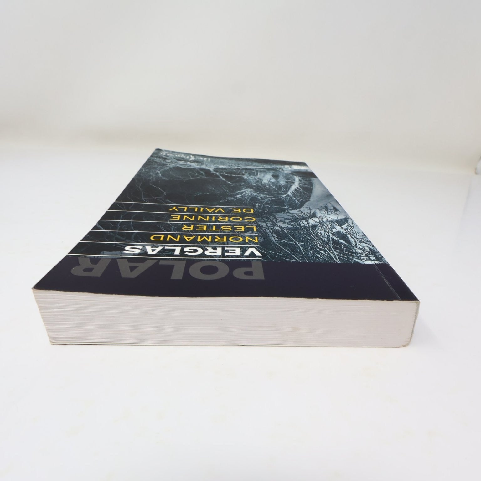 Verglas Normand Lester/Corinne De Vailly 2006 Thriller Libre Expression Polar