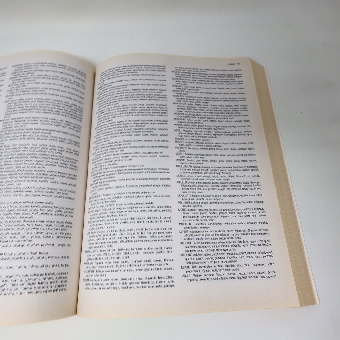 2014 Le Grand Dictionnaire des Mots Croisés Édition Augmentée Lise Beaudry Livre
