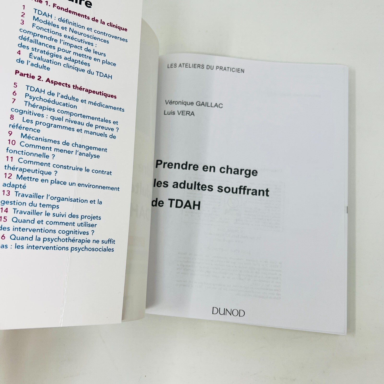2016 Prendre en Charge les Adultes Souffrant de TDAH Véra/Gaillac Diagnostique