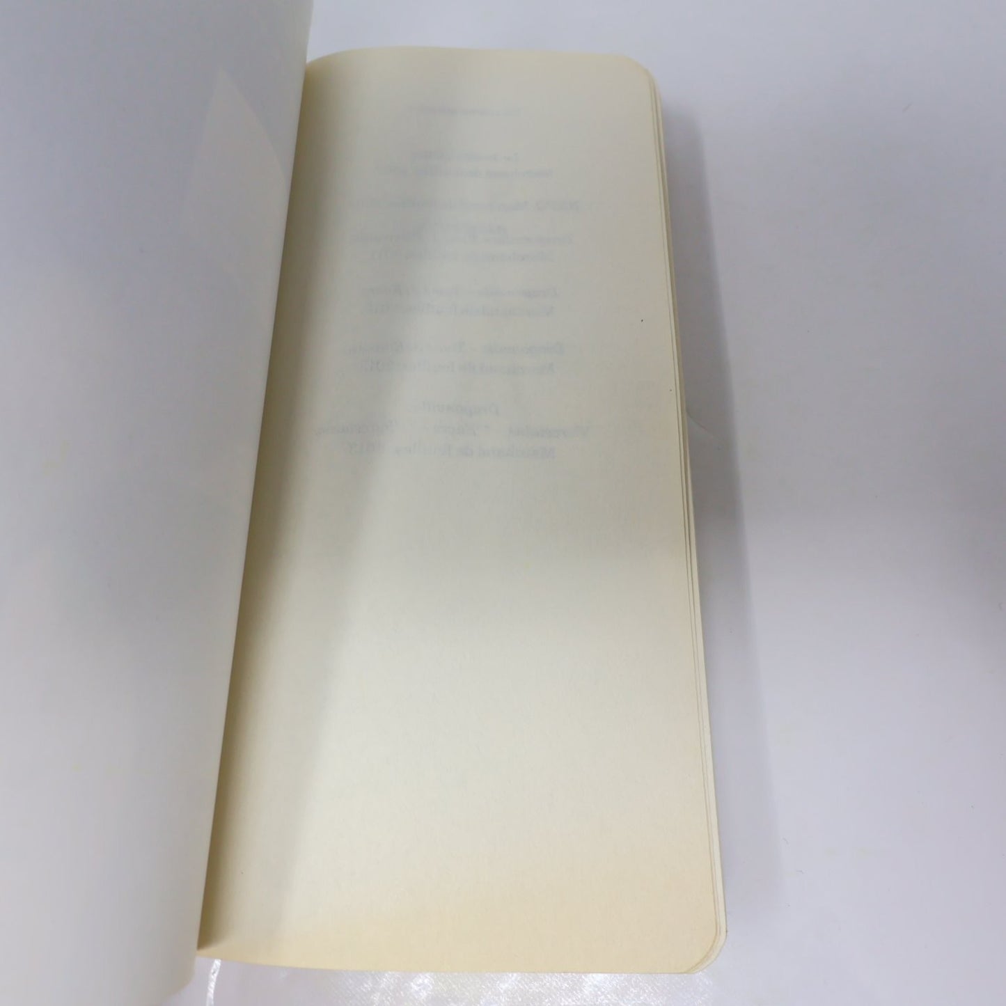 Étincelle Michèle Plomer 2016 Français Livre Edition Marchand de Feuilles