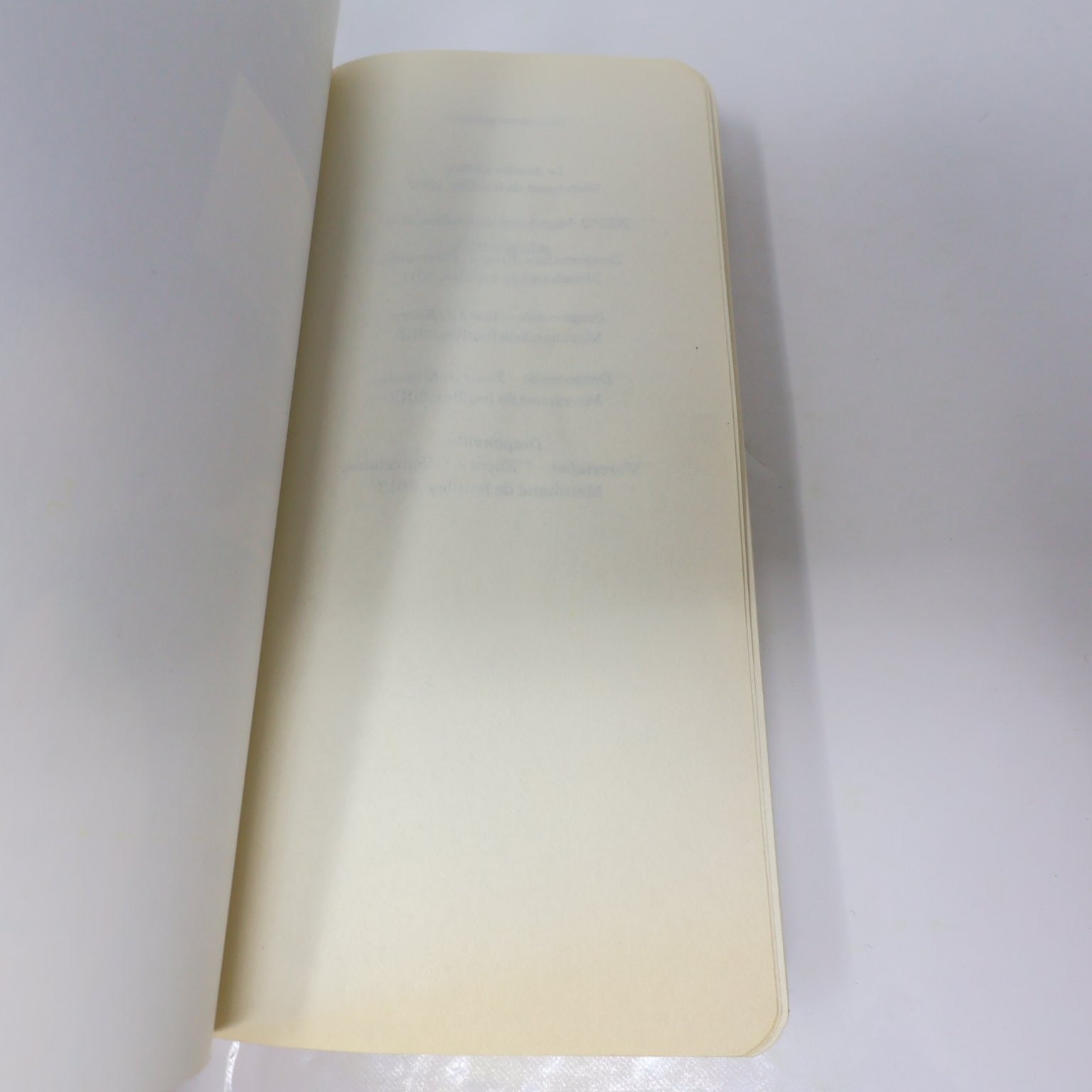 Étincelle Michèle Plomer 2016 Français Livre Edition Marchand de Feuilles