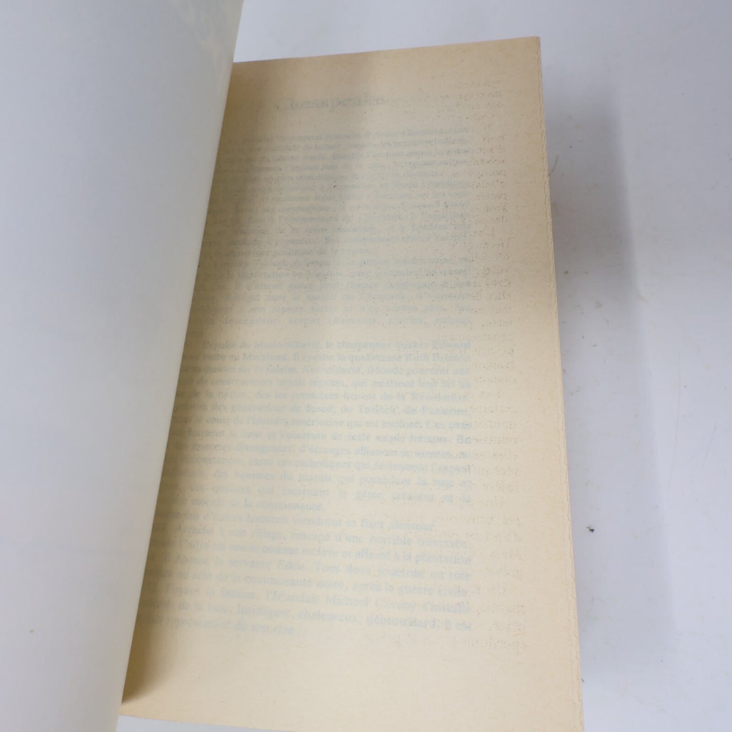 James Albert Michener Lot 2 Livres Chesapeake/L'Alliance Français French Seuil