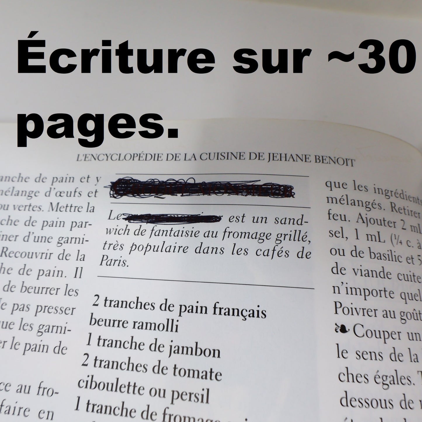 L'Encyclopédie de la Cuisine de Jehane Benoit Mirabel 1991 HC Français French