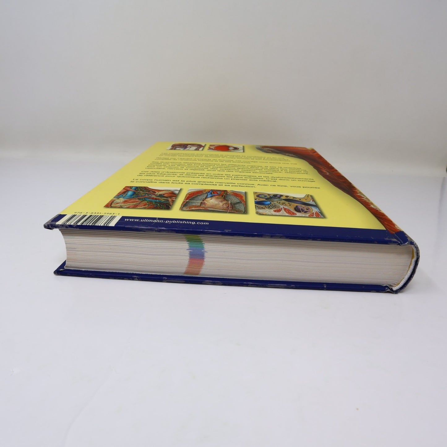 Atlas d'Anatomie Sobotta Ullman 2010 HC Français/French 600 Illustrations Livre