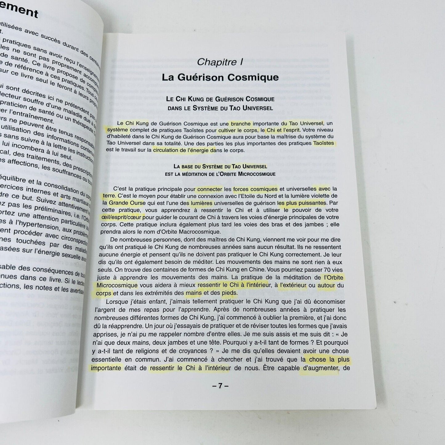 2002 Guérison par le Chi Kung Taoïste de Mantak Chia Français/French Trédaniel
