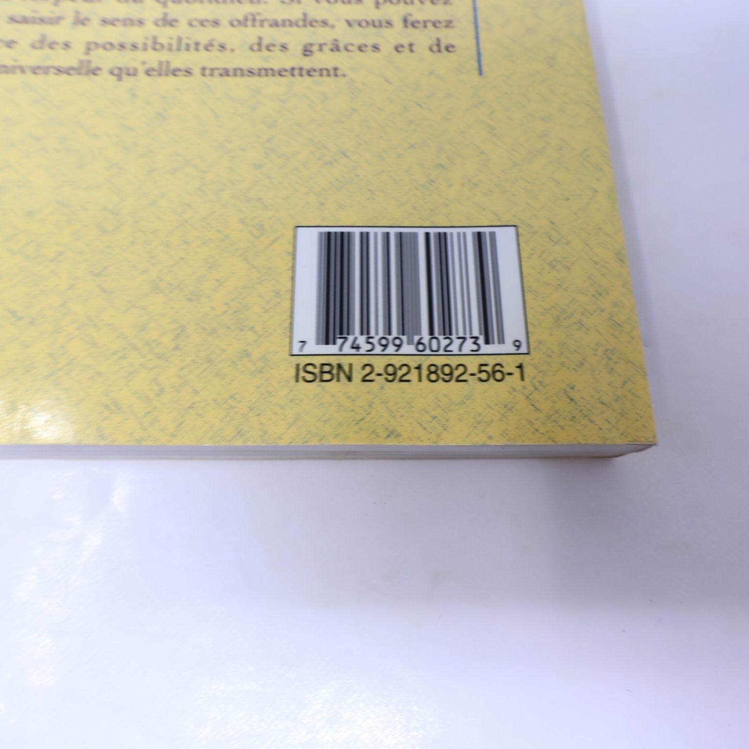 Les petits Miracles Halberstam Leventhal 1999 ADA Coincidences du Quotidien