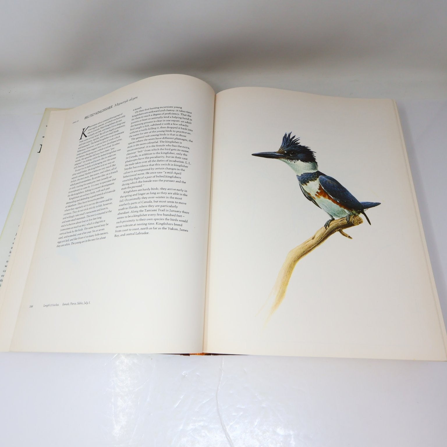 Lansdowne's Birds of the Forest John A. Livingston 1989 Illustrated Arrowood HC
