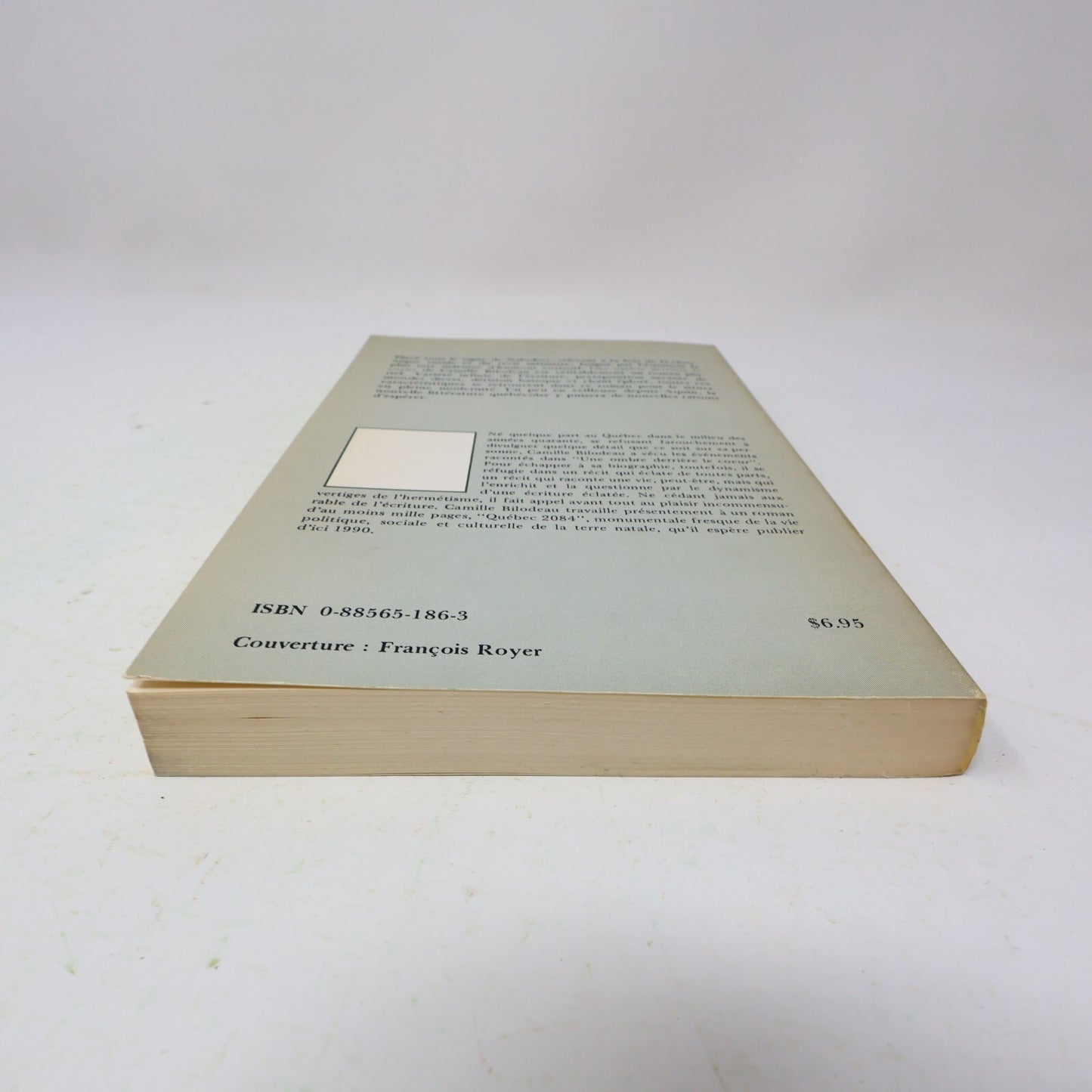 1979 Une Ombre Derrière le Cœur Roman-Pluriel Camille Bilodeau Contre-Culture PB