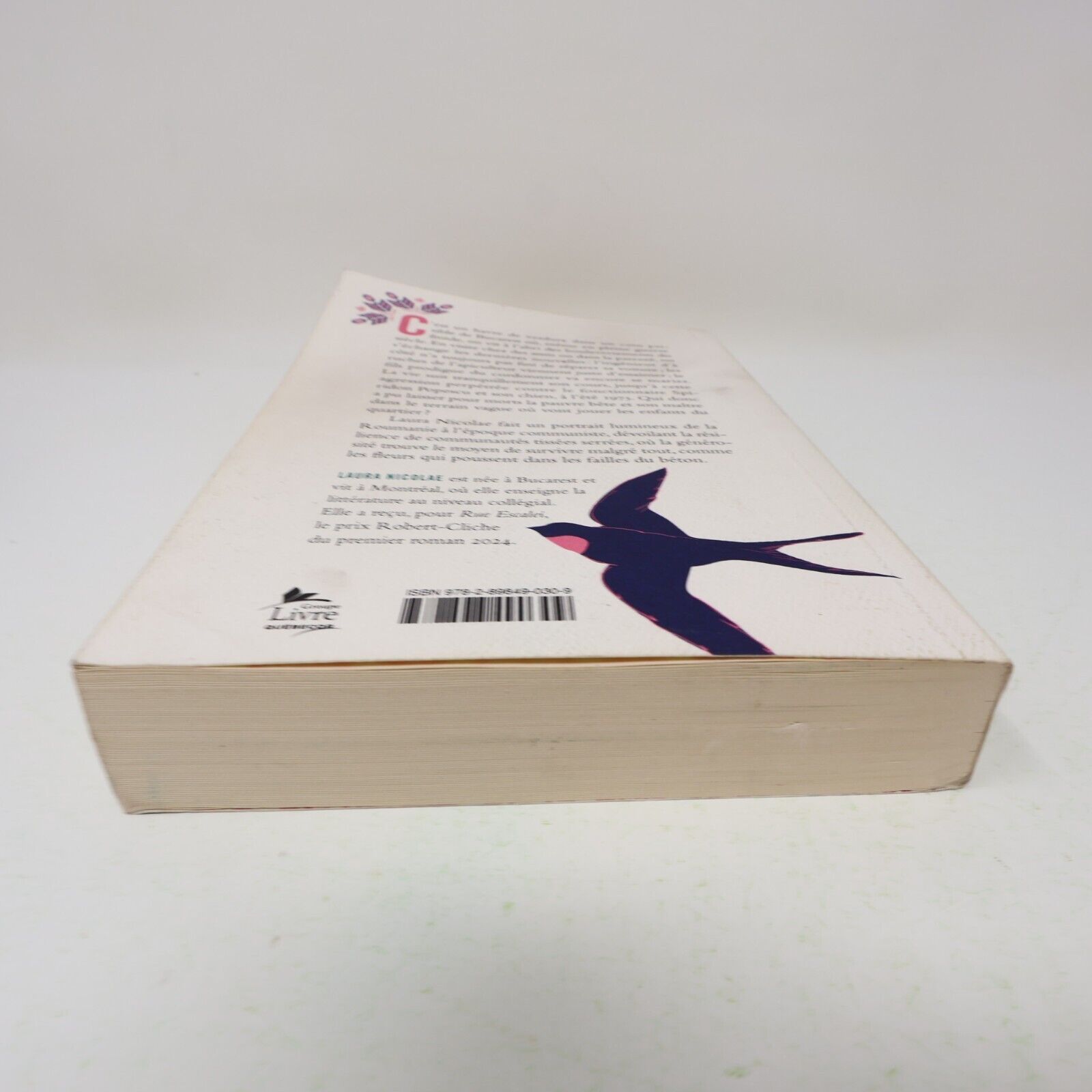 2024 Rue Escalei Laura Nicolae Littérature Québécoise Roman Vlb Français Livre