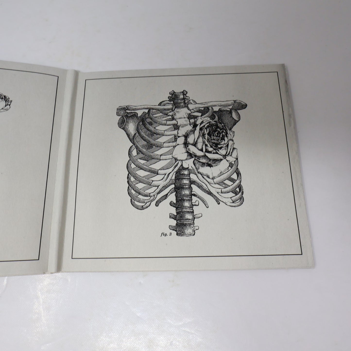 Cœur De Pirate Trauma CD Chansons de le Série Télé 2013 Dare To Care Records