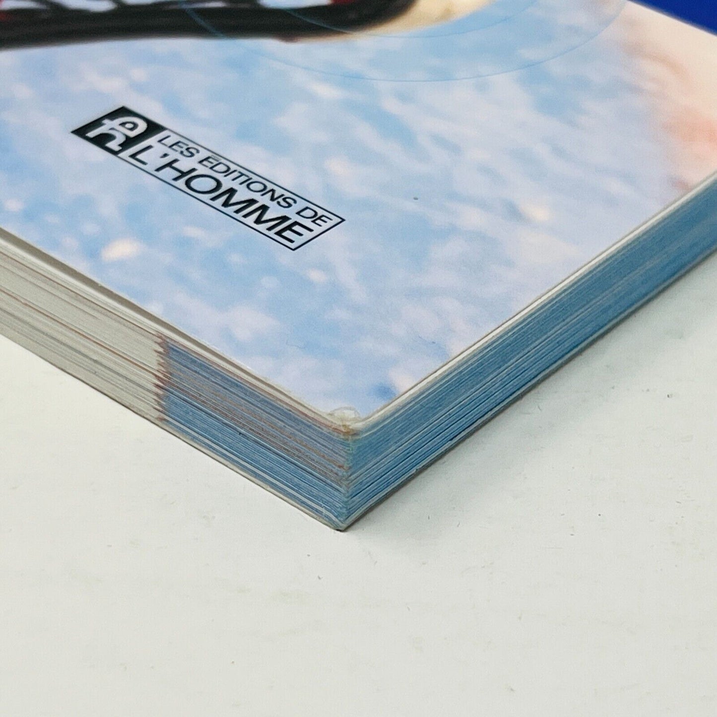 2008 Devenir Gardien de But au Hockey Nouvelle Édition de François Allaire Livre